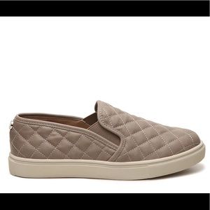 Steve Madden Sneakers